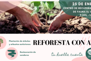 REFORESTA CON AJE 25 ENERO