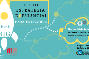 SEGUNDO TALLER CICLO ESTRATEGIA DIFERENCIAL