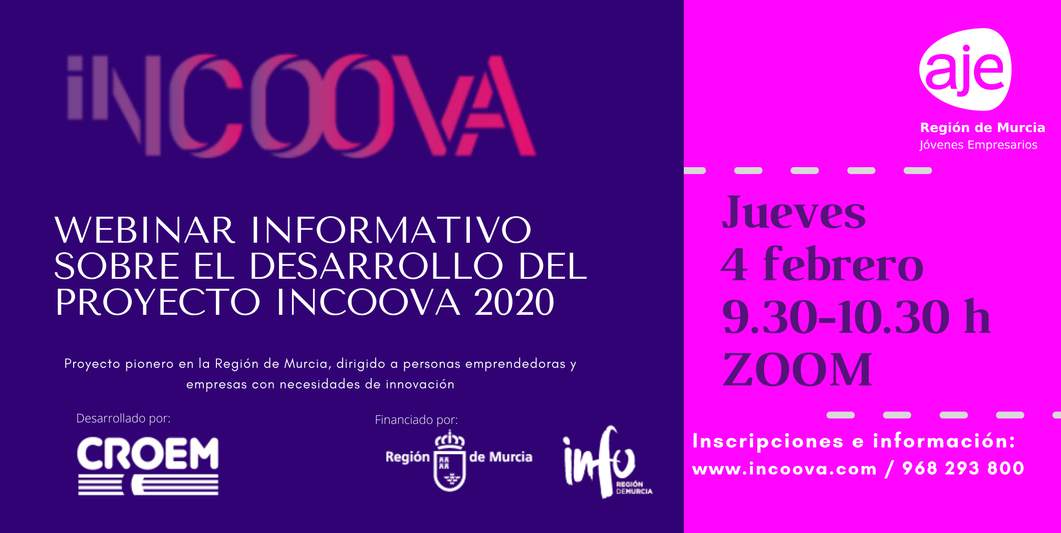 PRESENTACIÓN PROYECTO INCOOVA (3)